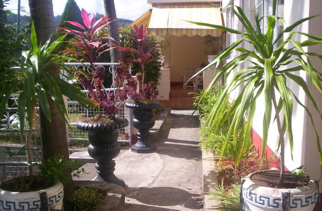 Villa Acajou Sur Mer Port Mathurin Esterno foto